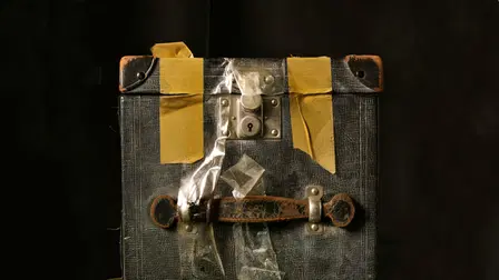 Vivian Maierin salaisuus