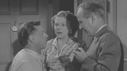 The Mickey Rooney Show
