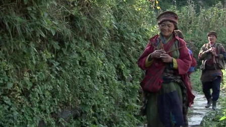 Tahi: The Human Journey
