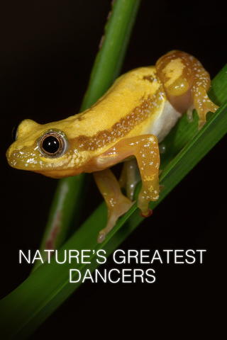 Nature's Greatest Dancers