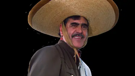 Golondrina Presumida