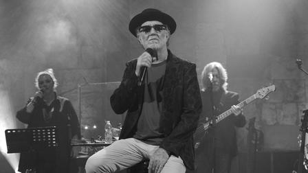 Francesco de Gregori Nevergreen