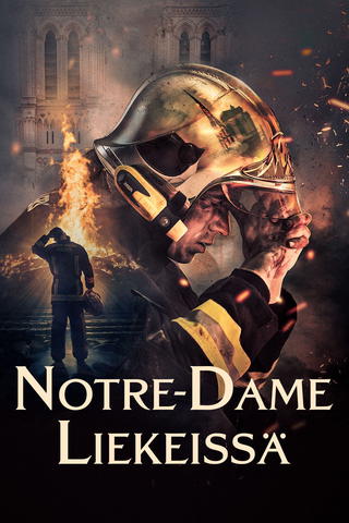 Notre-Dame palaa