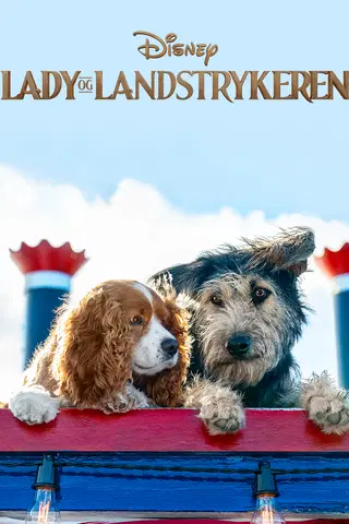 Lady og Landstrykeren