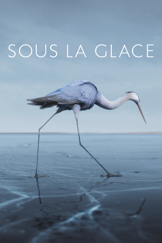 Sous la glace