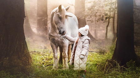Tale of the Forest Unicorn