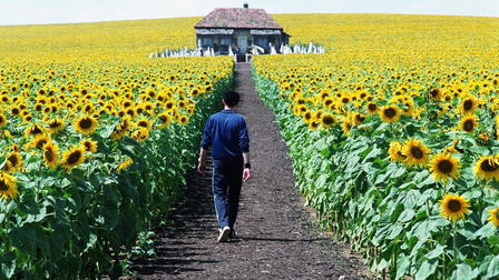 Everything is Illuminated