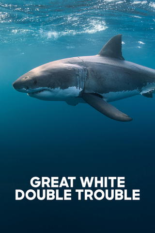 Great White Double Trouble