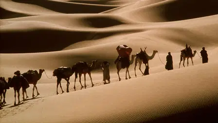 Under himlens dække