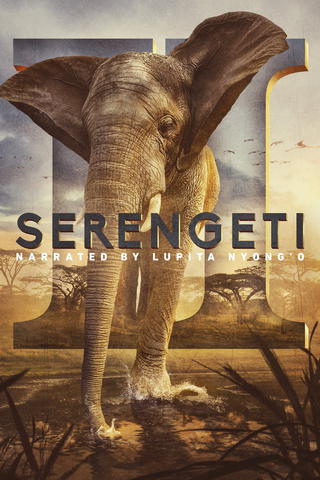 Serengeti II