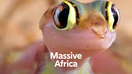 Massive Africa