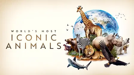 World's Most Iconic Animals