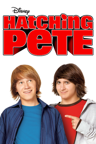 Hatching Pete