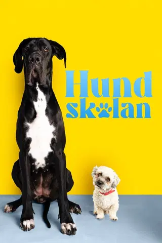 Fra bølle til bestevenn