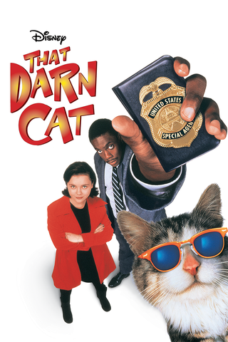 Katten också