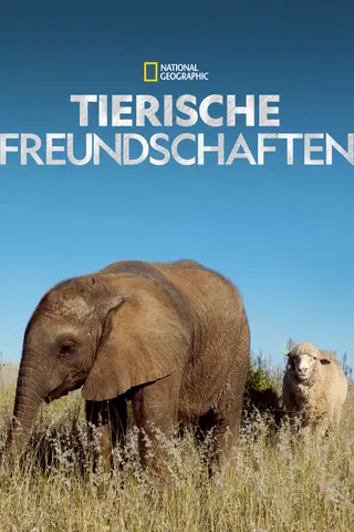 Tierische Freundschaften