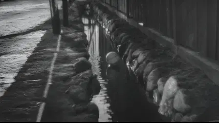 Humanity and Paper Balloons