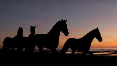 The Caravan Film