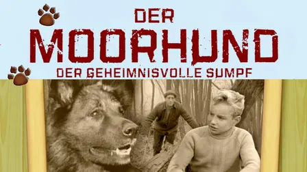 The Moorhound