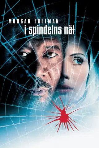 I spindelns nät