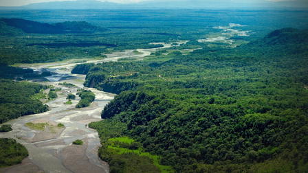 Journey Into Amazonia
