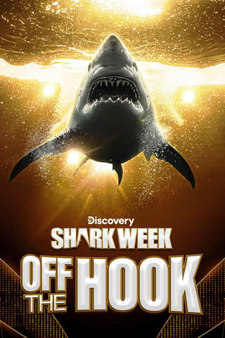 Shark Week: Off the Hook