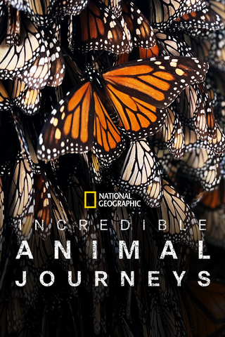 Incredible Animal Journeys