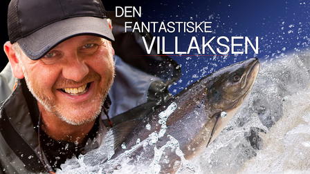Den fantastiske villaksen