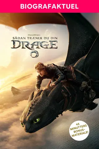 Sådan træner du din drage