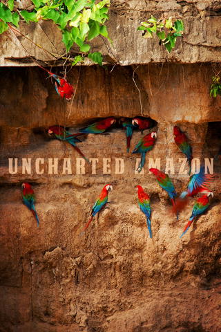 Uncharted Amazon