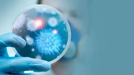 El poder oculto de los microbios