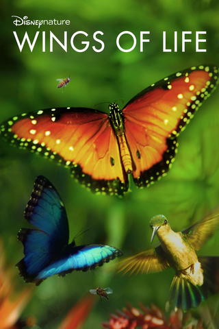 Disneynature Wings of Life