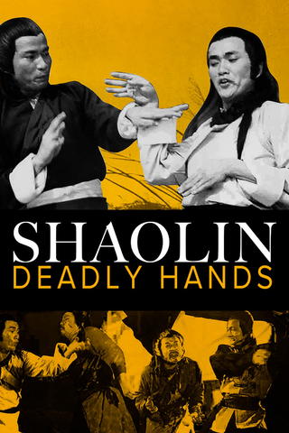 Shaolin Invincible Guys