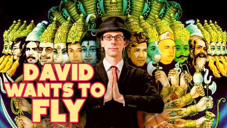 David wants to fly