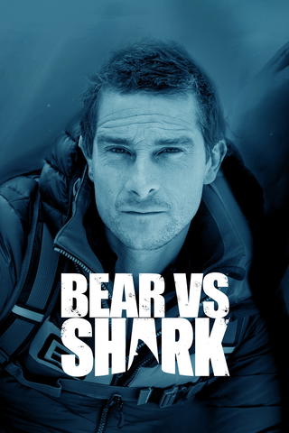 Bear vs. Shark