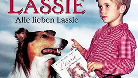 Lassies größtes Abenteuer