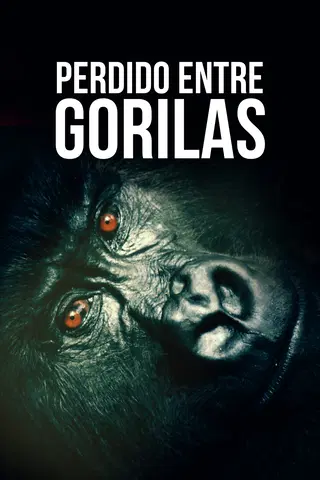 Perdido Entre Gorilas