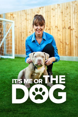 It's Me or the Dog