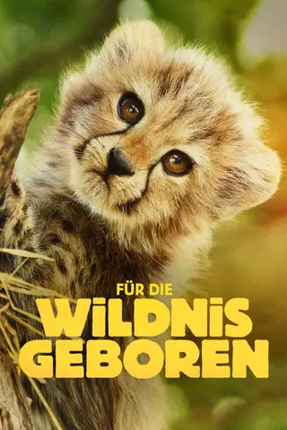 Für die Wildnis geboren