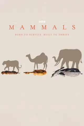 Mammals