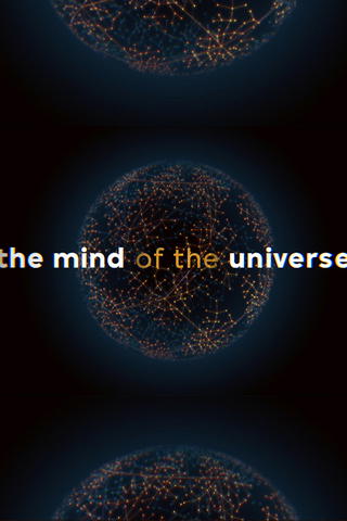 The Mind of the Universe