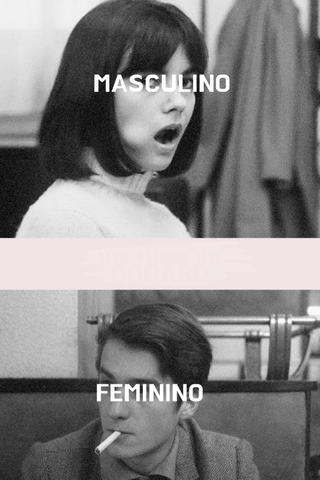 Masculino - Feminino