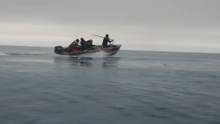 Uniti alla balena
