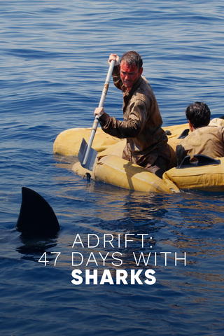 Adrift: 47 Days With Sharks