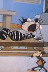 Dick Whittington's Cat