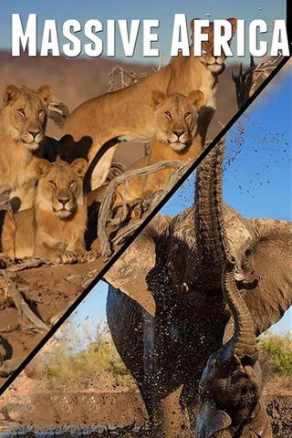 Massive Africa: Mala Mala