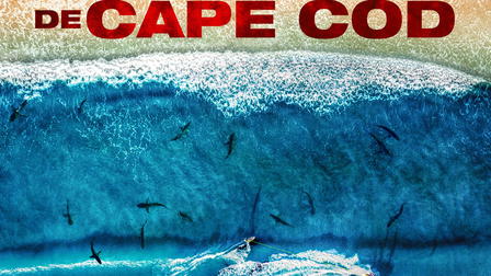 Monstros de Cape Cod