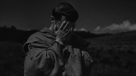 The Flowers of St. Francis