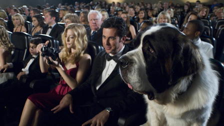 Beethoven 6 : Une star est née !