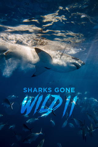 Sharks Gone Wild: Eat, Prey, Blood